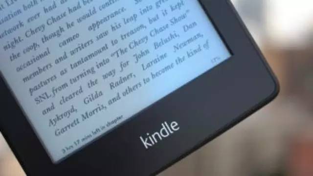 Tell me about the book kindle.