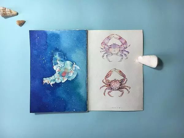 A summary, a watercolor book related to the sea